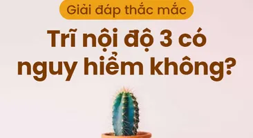 Giải đáp thắc mắc: Trĩ nội độ 3 có nguy hiểm không?