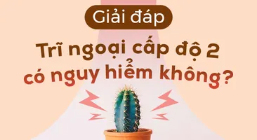 Giải đáp: Trĩ ngoại cấp độ 2 có nguy hiểm không?