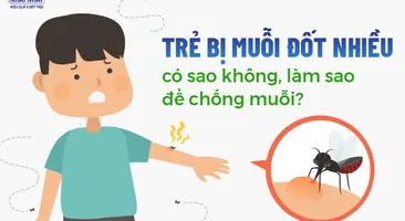 Trẻ bị muỗi đốt nhiều có sao không, làm sao để chống muỗi?