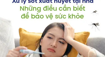 Xử lý sốt xuất huyết tại nhà: Những điều cần biết để bảo vệ sức khỏe