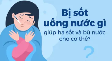 Bị sốt uống nước gì để giúp hạ sốt và bù nước cho cơ thể?