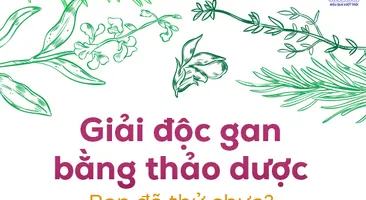 Giải độc gan bằng thảo dược: Bạn đã thử chưa?