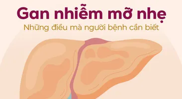 Gan nhiễm mỡ nhẹ: Những điều mà người bệnh cần biết