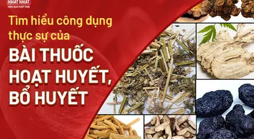 Tìm hiểu công dụng thực sự của bài thuốc hoạt huyết bổ huyết