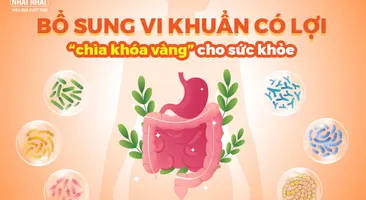 Bổ sung vi khuẩn có lợi – “chìa khóa vàng” cho sức khỏe
