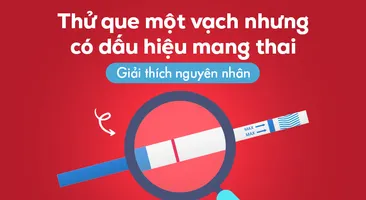 Thử que một vạch nhưng có dấu hiệu mang thai: Giải thích nguyên nhân