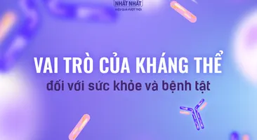 Kháng thể là gì? Vai trò của kháng thể đối với sức khỏe và bệnh tật