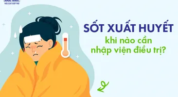 Giải đáp nhanh: Sốt xuất huyết khi nào cần nhập viện điều trị?