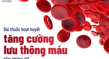Bài thuốc hoạt huyết tăng cường lưu thông máu gồm những gì?