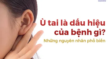 Ù tai là dấu hiệu của bệnh gì? Những nguyên nhân phổ biến