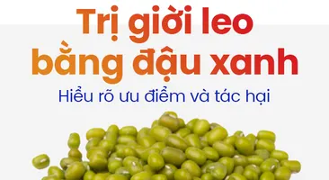 Trị giời leo bằng đậu xanh: Hiểu rõ ưu điểm và tác hại