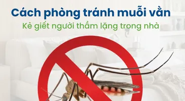 Cách phòng tránh muỗi vằn – Kẻ giết người thầm lặng trong nhà