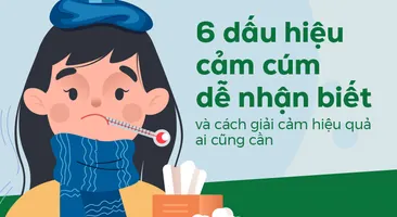 6 dấu hiệu cảm cúm dễ nhận biết và cách giải cảm hiệu quả ai cũng cần