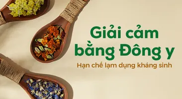 Giải cảm bằng Đông y: Hạn chế lạm dụng kháng sinh