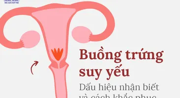 Buồng trứng suy yếu: Dấu hiệu nhận biết và cách khắc phục