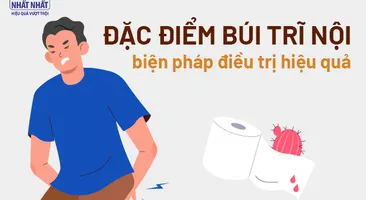 Đặc điểm búi trĩ nội và các biện pháp điều trị hiệu quả