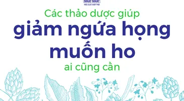 Các thảo dược giúp giảm ngứa họng muốn ho ai cũng cần 