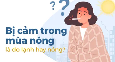 Bị cảm trong mùa nóng là do lạnh hay nóng?