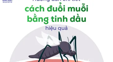 Hướng dẫn chi tiết cách đuổi muỗi bằng tinh dầu hiệu quả