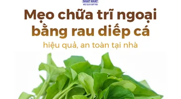 Mẹo chữa trĩ ngoại bằng rau diếp cá hiệu quả, an toàn tại nhà