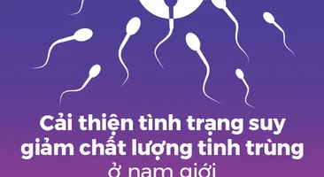 Cải thiện tình trạng suy giảm chất lượng tinh trùng ở nam giới