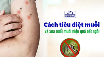 Cách tiêu diệt muỗi và xua đuổi muỗi hiệu quả bất ngờ!