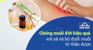 Chống muỗi đốt hiệu quả với sả và bộ đuổi muỗi từ thảo dược