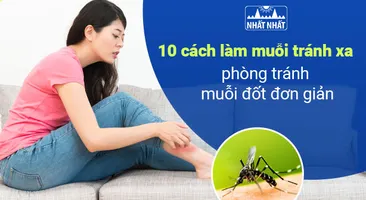 10 cách làm muỗi tránh xa, phòng tránh muỗi đốt đơn giản
