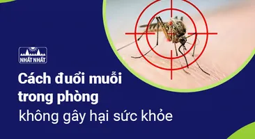 Cách đuổi muỗi trong phòng không gây hại sức khỏe