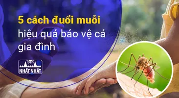 5 cách đuổi muỗi hiệu quả bảo vệ cả gia đình