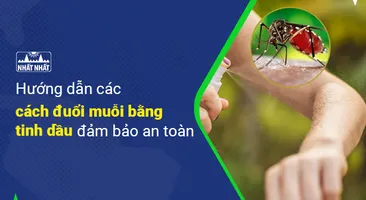 Hướng dẫn các cách đuổi muỗi bằng tinh dầu đảm bảo an toàn