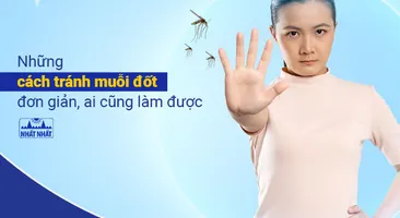 Những cách tránh muỗi đốt đơn giản, ai cũng làm được