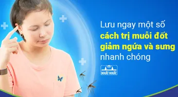Lưu ngay một số cách trị muỗi đốt, giảm ngứa và sưng nhanh chóng