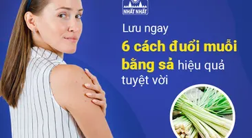 Lưu ngay 6 cách đuổi muỗi bằng sả hiệu quả tuyệt vời