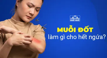 Muỗi đốt làm gì cho hết ngứa, bạn có biết không?