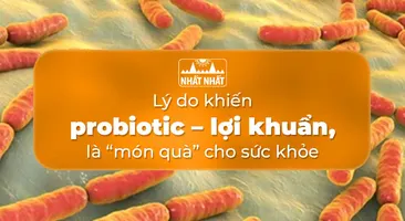 Lý do khiến bổ sung probiotic – lợi khuẩn là “món quà” cho sức khỏe