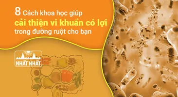 8 Cách khoa học giúp cải thiện vi khuẩn có lợi trong đường ruột