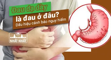 Đau dạ dày là đau ở đâu? Dấu hiệu cảnh báo nguy hiểm khi đau dạ dày
