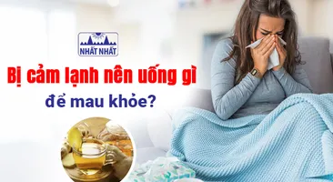 Bị cảm lạnh nên uống gì để mau khỏe?