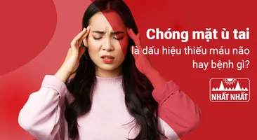 Chóng mặt ù tai là dấu hiệu thiếu máu não hay bệnh gì?