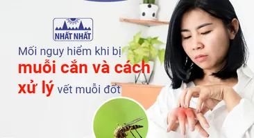 Mối nguy hiểm khi bị muỗi cắn và cách xử lý vết muỗi đốt