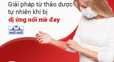 Giải pháp từ thảo dược tự nhiên khi bị dị ứng nổi mề đay