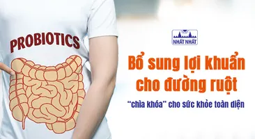 Bổ sung lợi khuẩn cho đường ruột – “chìa khóa” cho sức khỏe toàn diện