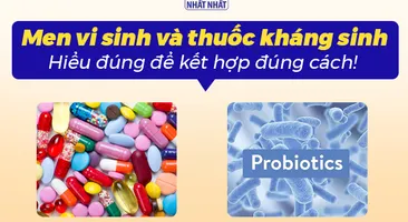 Men vi sinh và thuốc kháng sinh: Hiểu đúng để kết hợp đúng cách!