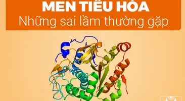 Men tiêu hóa: Những sai lầm thường gặp