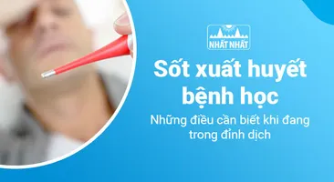 Sốt xuất huyết bệnh học: Những điều cần biết khi đang trong đỉnh dịch
