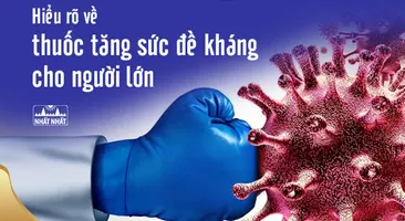 Hiểu rõ về thuốc tăng sức đề kháng cho người lớn