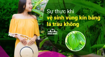 Sự thực khi vệ sinh vùng kín bằng lá trầu không 