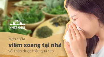 Mẹo chữa viêm xoang tại nhà với thảo dược hiệu quả cao