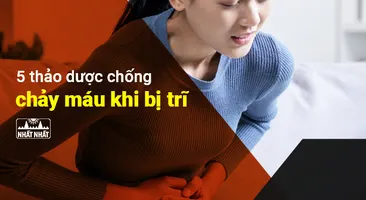 5 thảo dược chống chảy máu khi bị trĩ